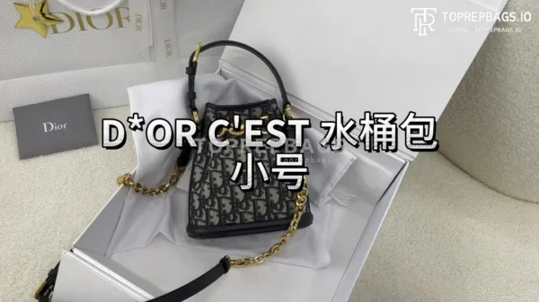 i1700367671_5519_0 Dior C'est Bucket Bag Small in Beige