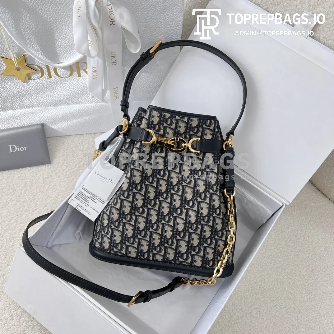 i1700629656_210_4 Dior C'est Bucket Bag Medium in Blue