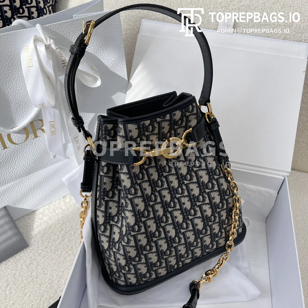 i1700629656_503_1 Dior C'est Bucket Bag Medium in Blue