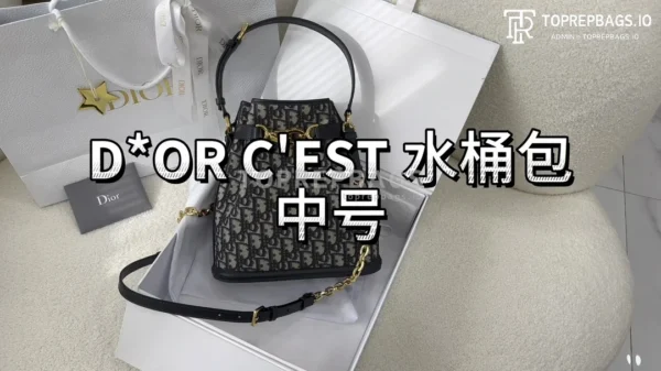 i1700629935_7000_0 Dior C'est Bucket Bag Medium in Blue