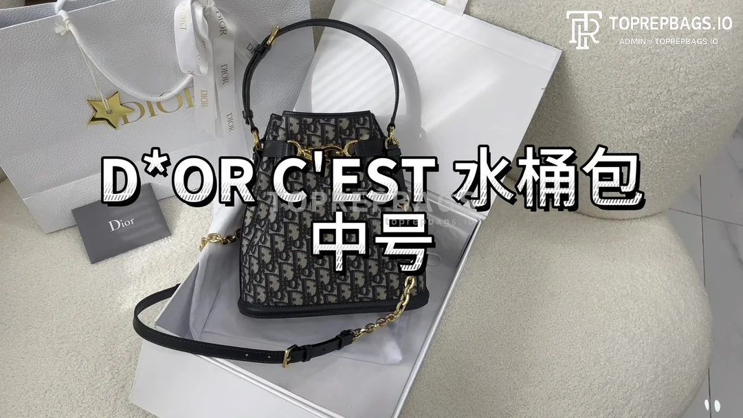 i1700629935_7000_0 Dior C'est Bucket Bag Medium in Blue