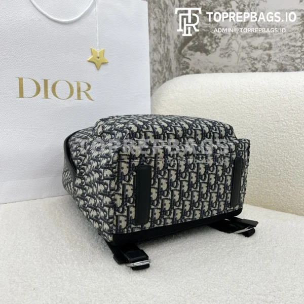 i1702559937_511_7 Dior Rider in Blue