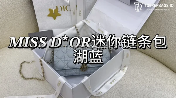 i1702796877_8560_0 Dior Miss Dior Mini in Blue