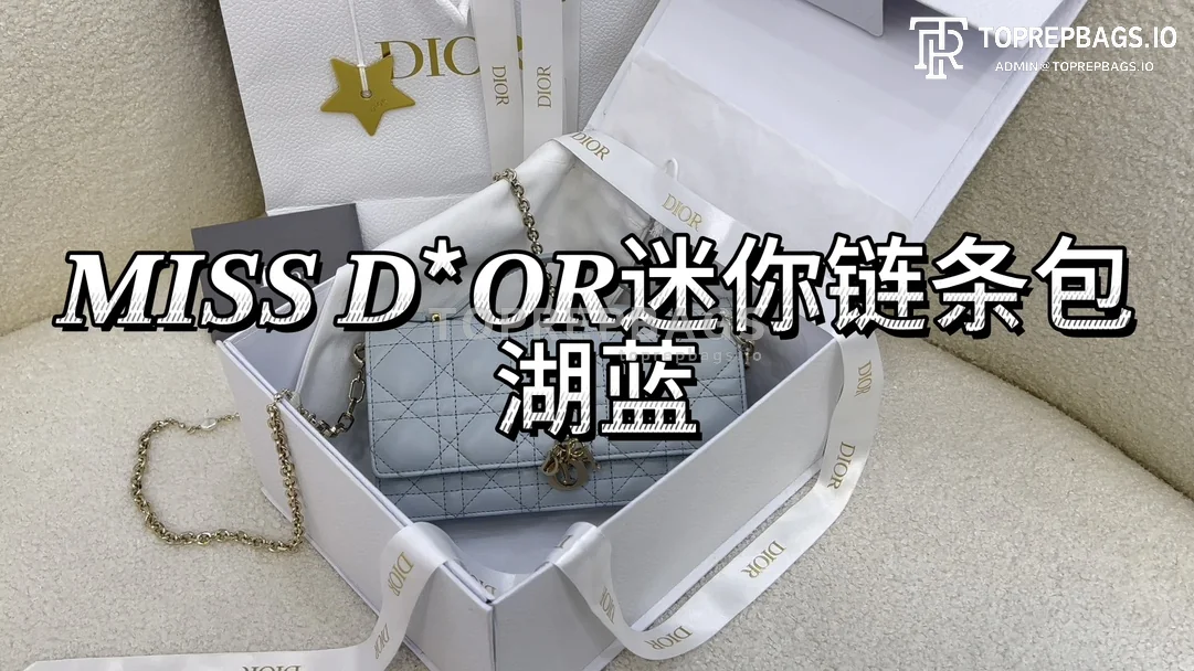 i1702796877_8560_0 Dior Miss Dior Mini in Blue