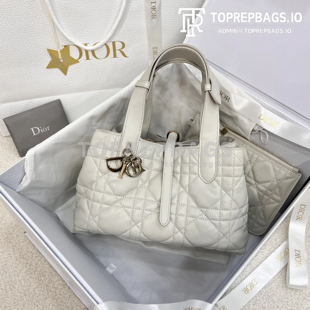 i1702886009_1352_5-1 Dior Toujours Small in White