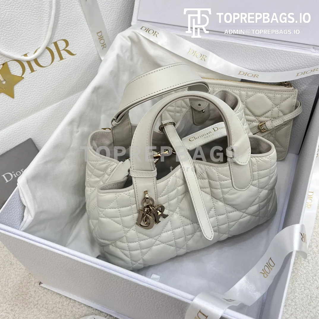 i1702886009_3907_8-1 Dior Toujours Small in White