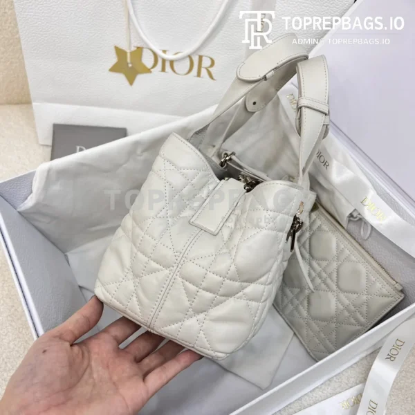 i1702886009_9620_0-3 Dior Toujours Small in White