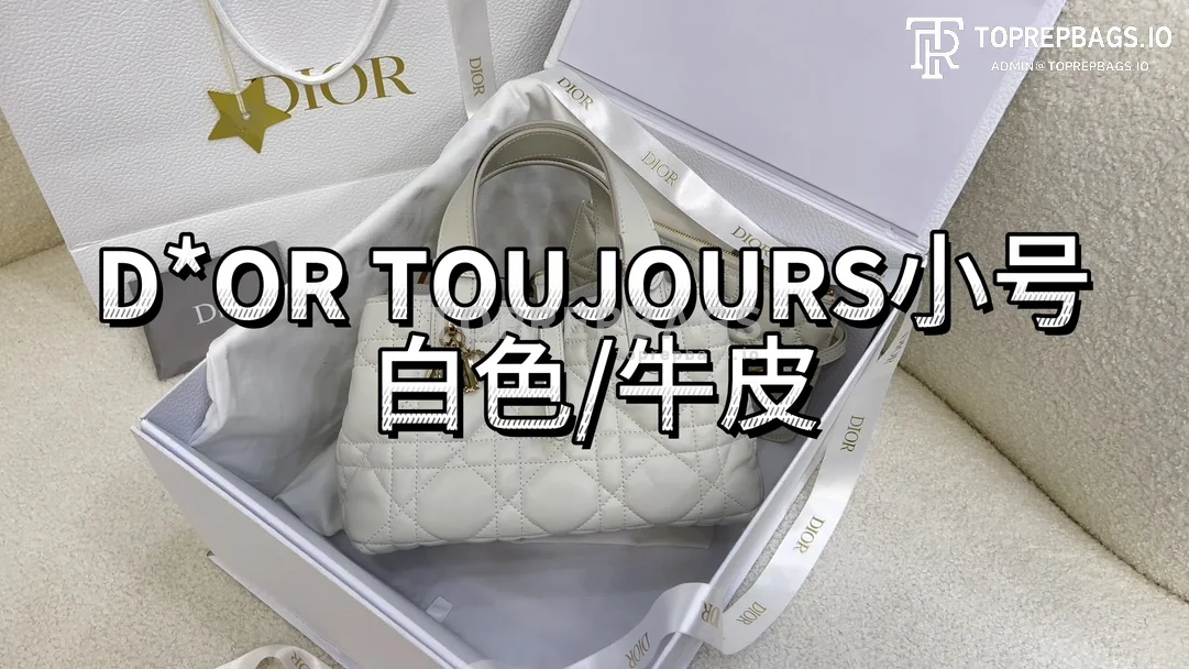 i1702886090_4203_0-4 Dior Toujours Small in White