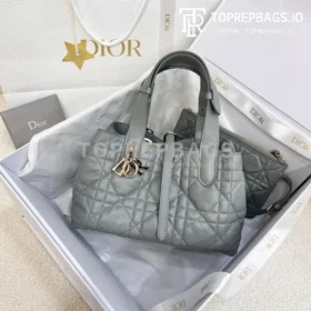 i1703060878_5548_4 Dior Toujours Small in Grey