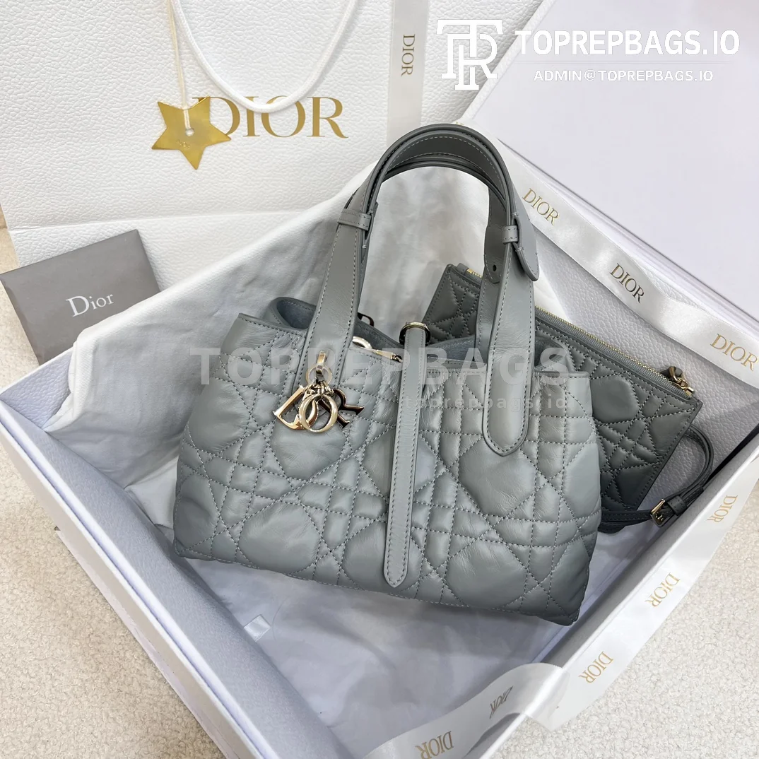 i1703060878_5548_4 Dior Toujours Small in Grey