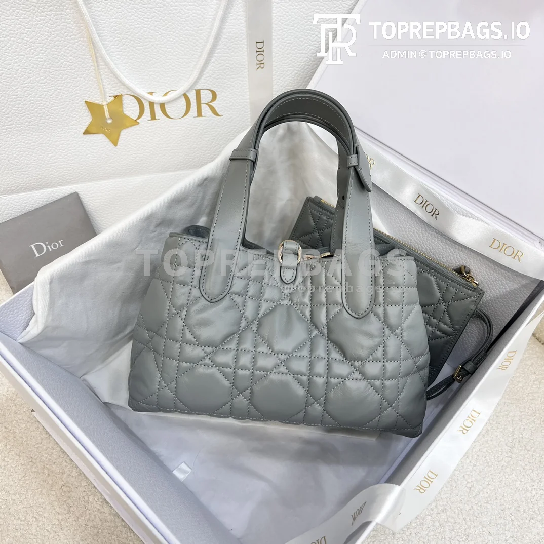 i1703060878_7374_3 Dior Toujours Small in Grey