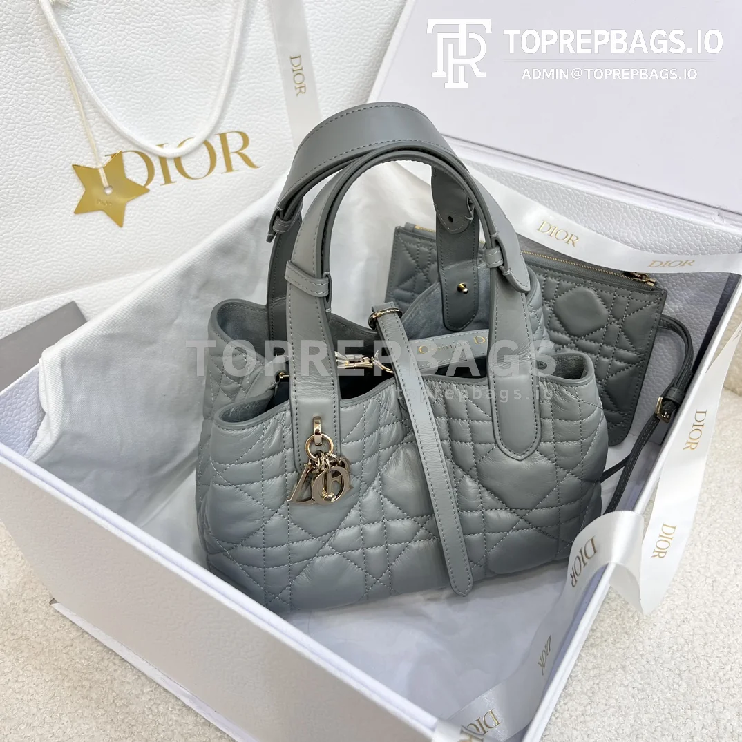 i1703060878_8952_1 Dior Toujours Small in Grey