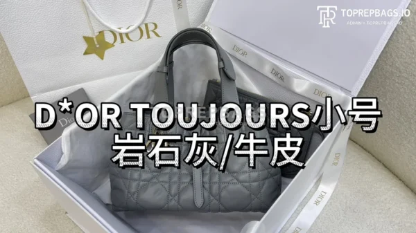 i1703060950_6392_0 Dior Toujours Small in Grey