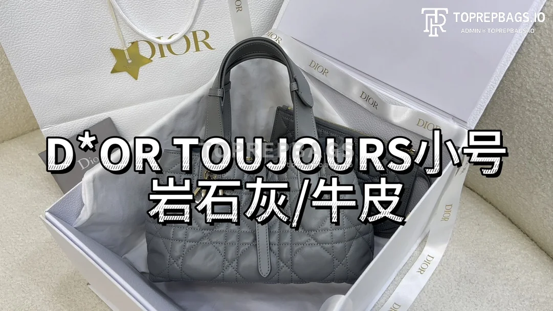 i1703060950_6392_0 Dior Toujours Small in Grey