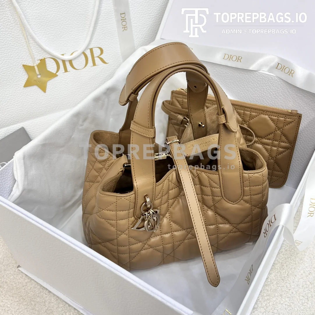 i1703061177_2125_4-3 Dior Toujours Small in Beige