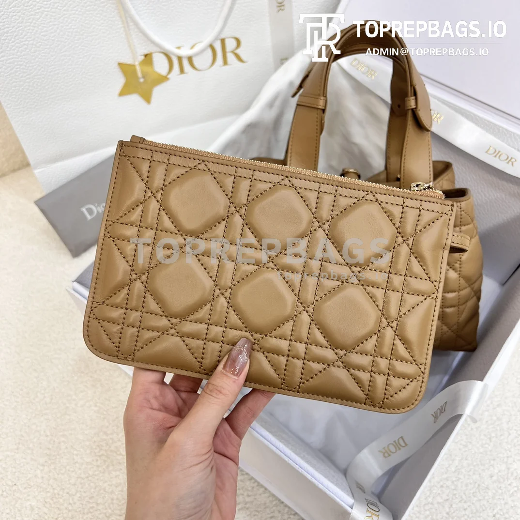 i1703061177_7296_2-3 Dior Toujours Small in Beige