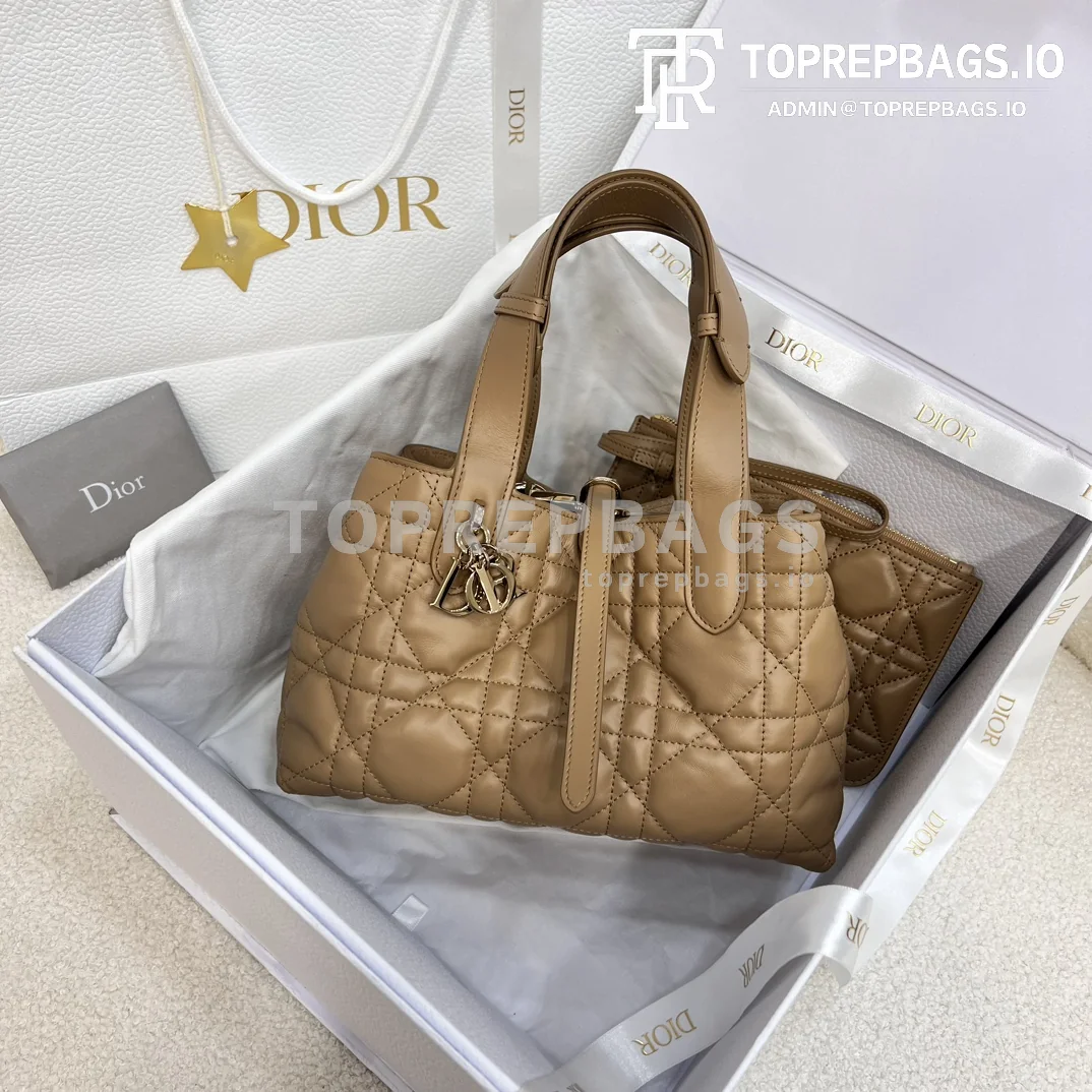 i1703061177_9091_3-3 Dior Toujours Small in Beige