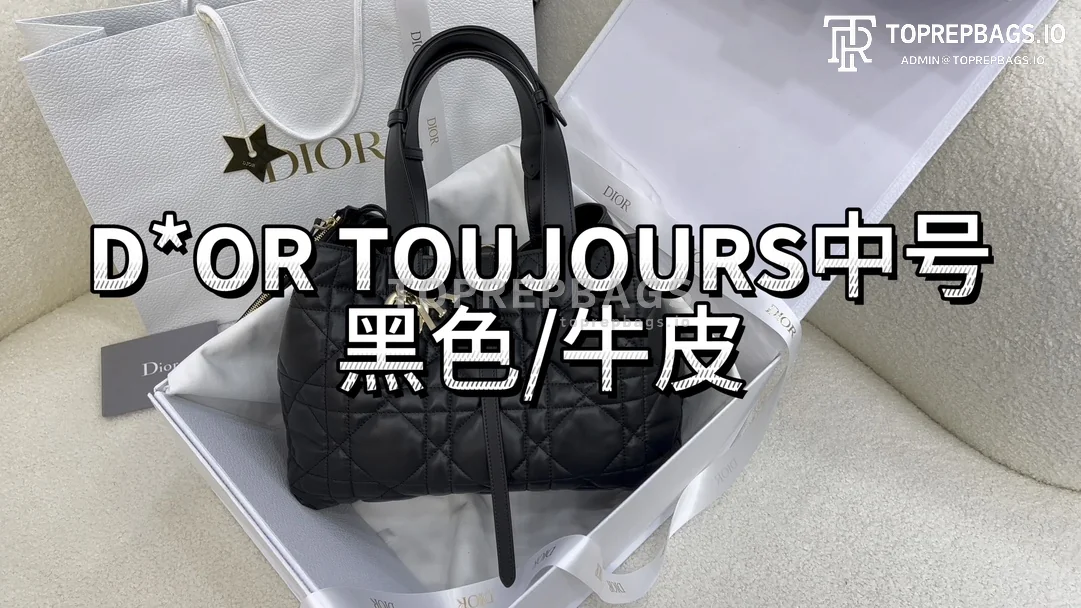 i1703318242_6805_0 Dior Toujours Medium in Black