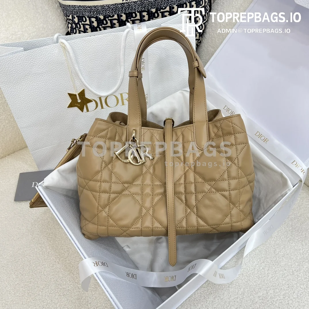 i1703320054_3806_0 Dior Toujours Medium in Beige