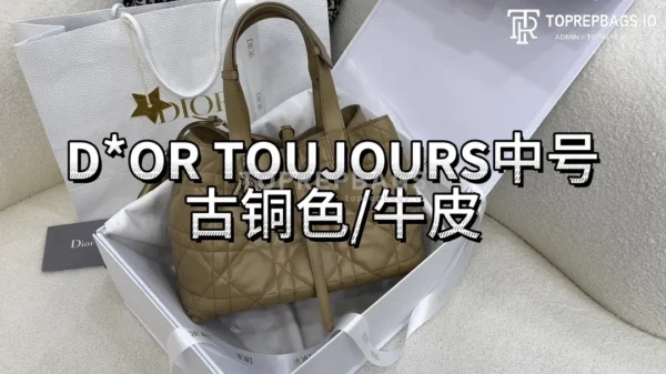 i1703320393_893_0 Dior Toujours Medium in Beige