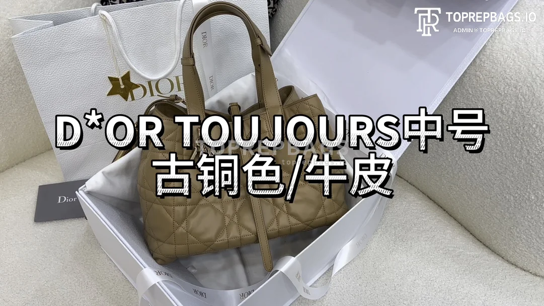i1703320393_893_0 Dior Toujours Medium in Beige