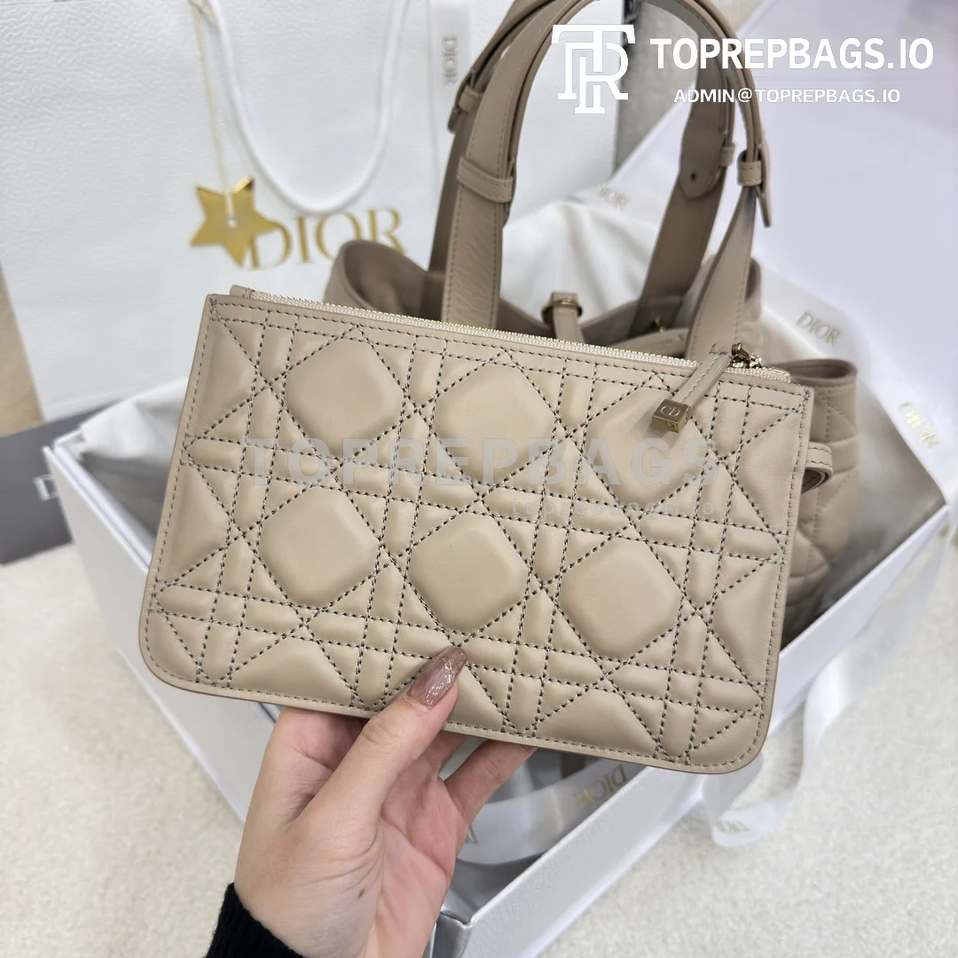 i1703324524_7913_0 Dior Toujours Medium in Apricot