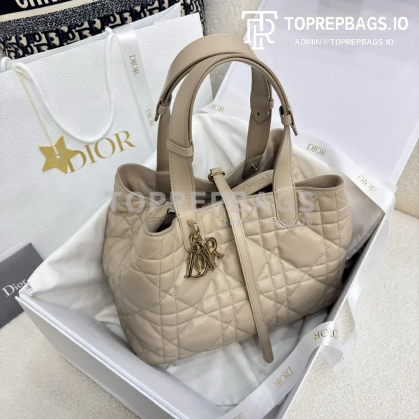 i1703324589_6747_0 Dior Toujours Medium in Apricot