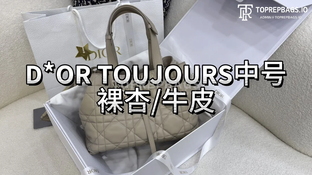 i1703324808_6982_0 Dior Toujours Medium in Apricot