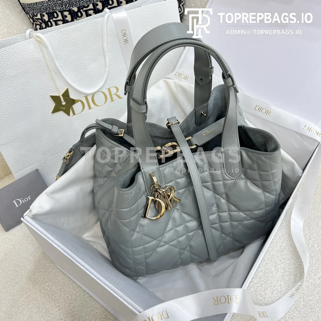 i1703384532_8109_0 Dior Toujours Medium in Grey