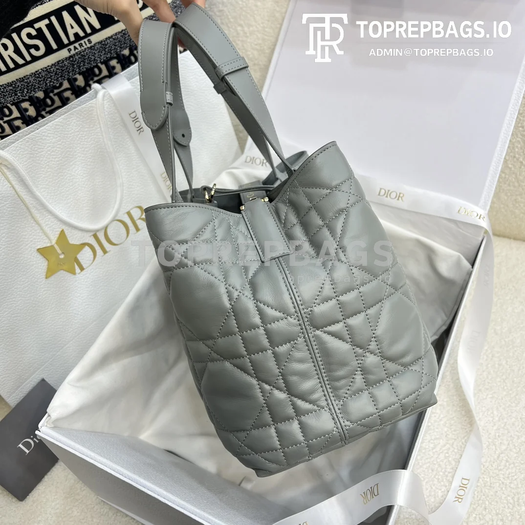 i1703384532_8882_0-2 Dior Toujours Medium in Grey