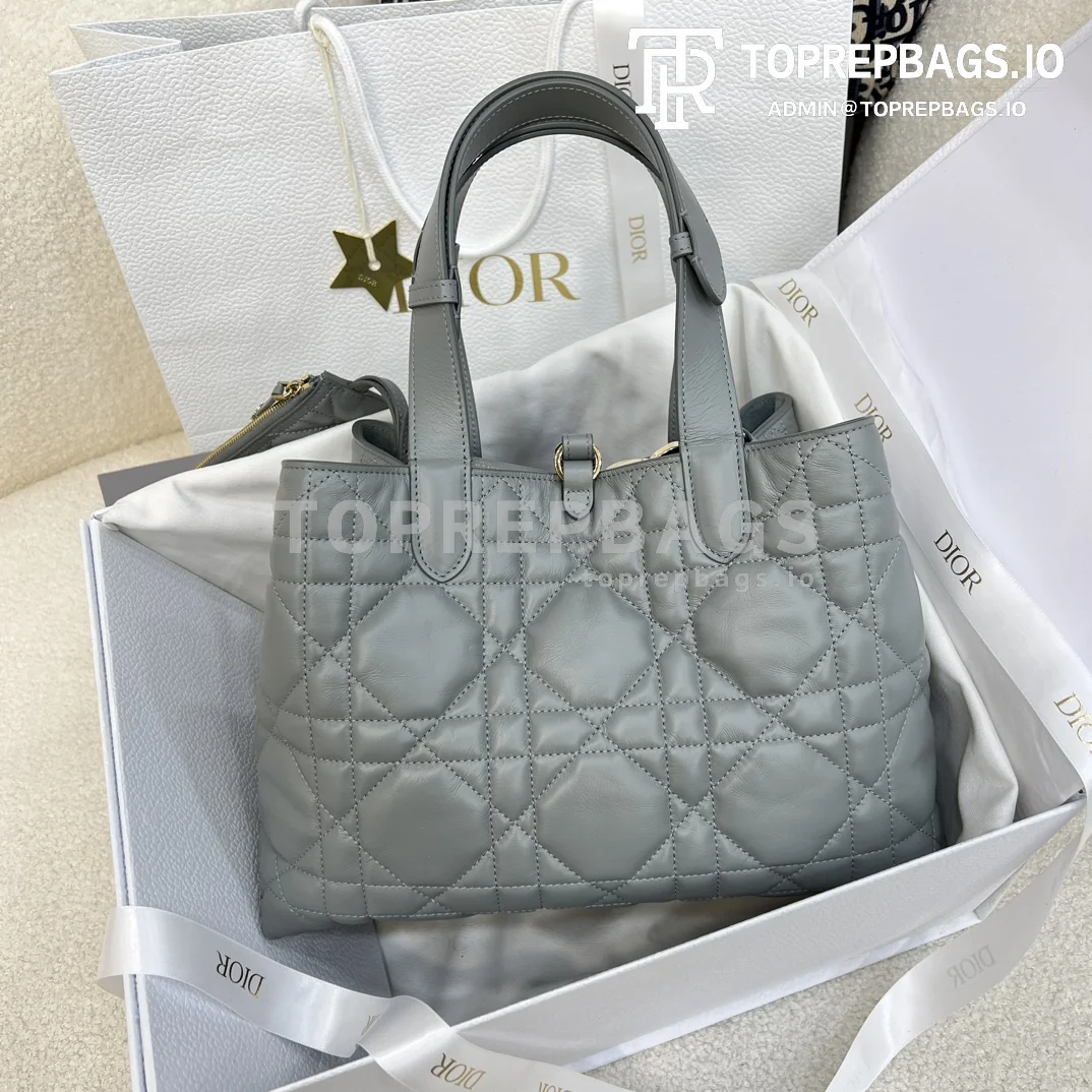 i1703384532_9798_0 Dior Toujours Medium in Grey