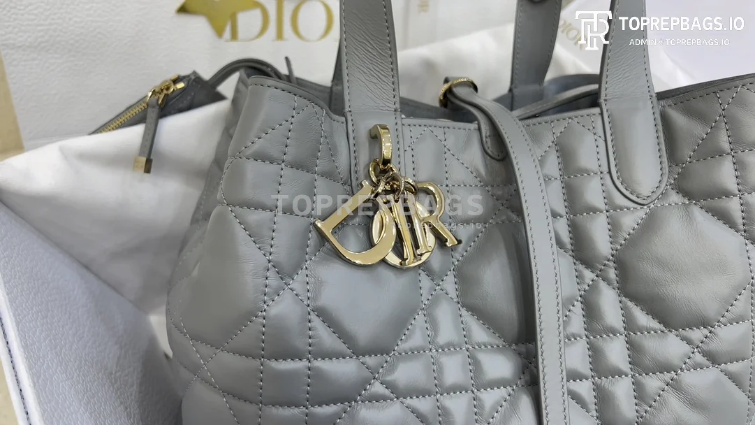 i1703386987_1267_0 Dior Toujours Medium in Grey