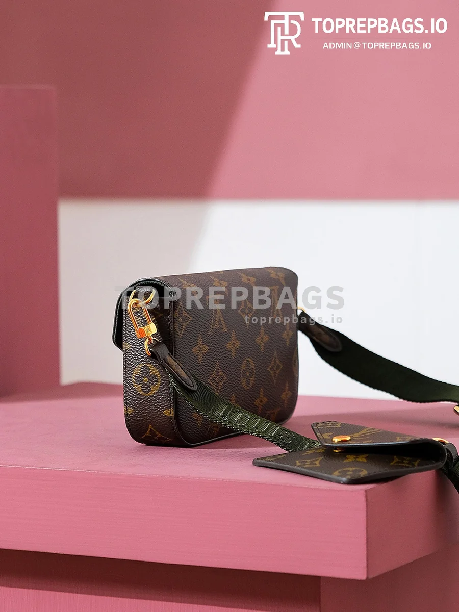 i1703576735_645_1 Louis Vuitton Felicie Strap & Go in Brown