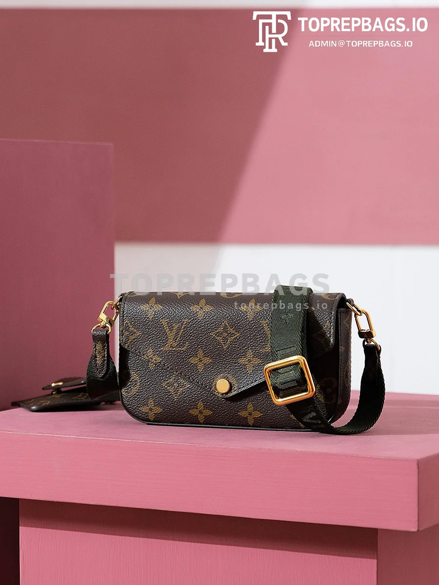 i1703576735_7416_7 Louis Vuitton Felicie Strap & Go in Brown