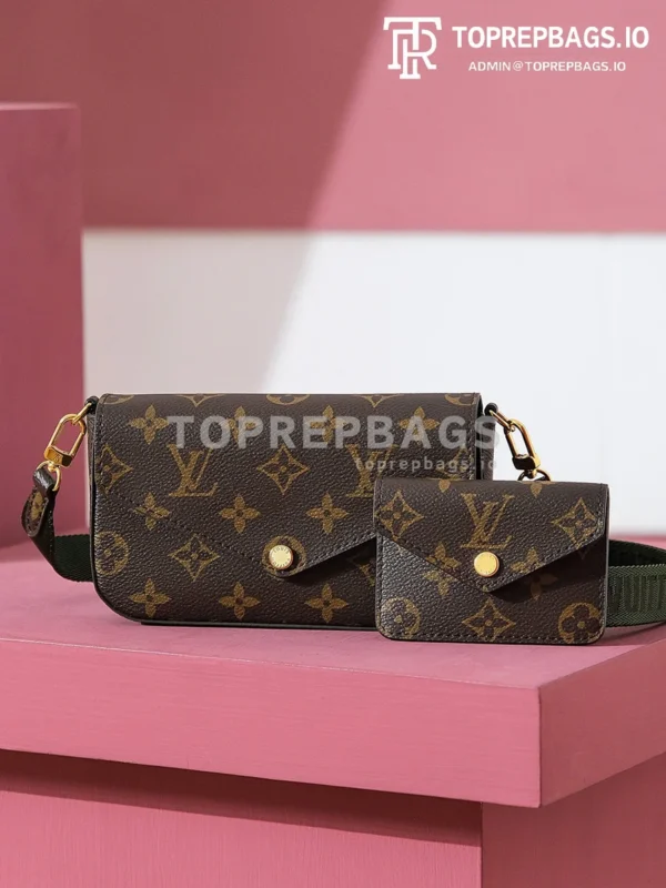 i1703576735_8374_2 Louis Vuitton Felicie Strap & Go in Brown