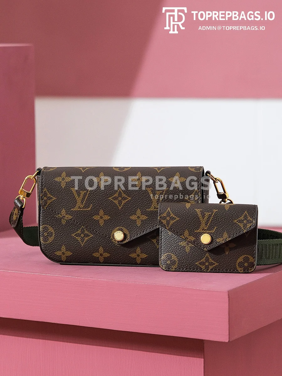 i1703576735_8374_2 Louis Vuitton Felicie Strap & Go in Brown