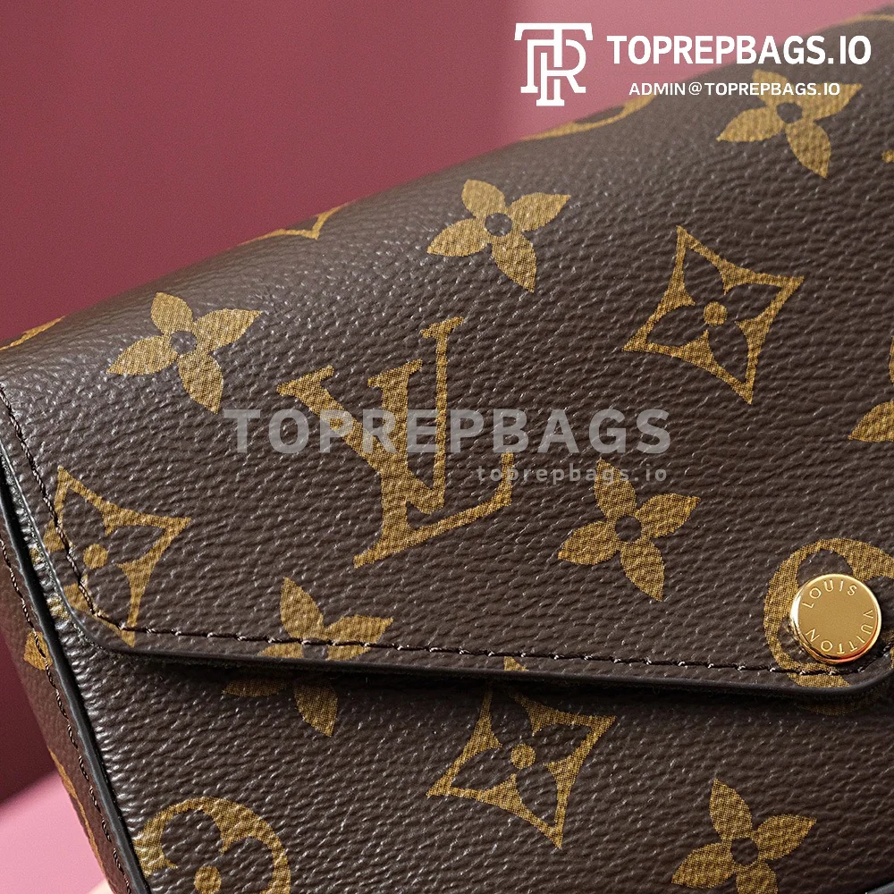 i1703577121_1351_2 Louis Vuitton Felicie Strap & Go in Brown