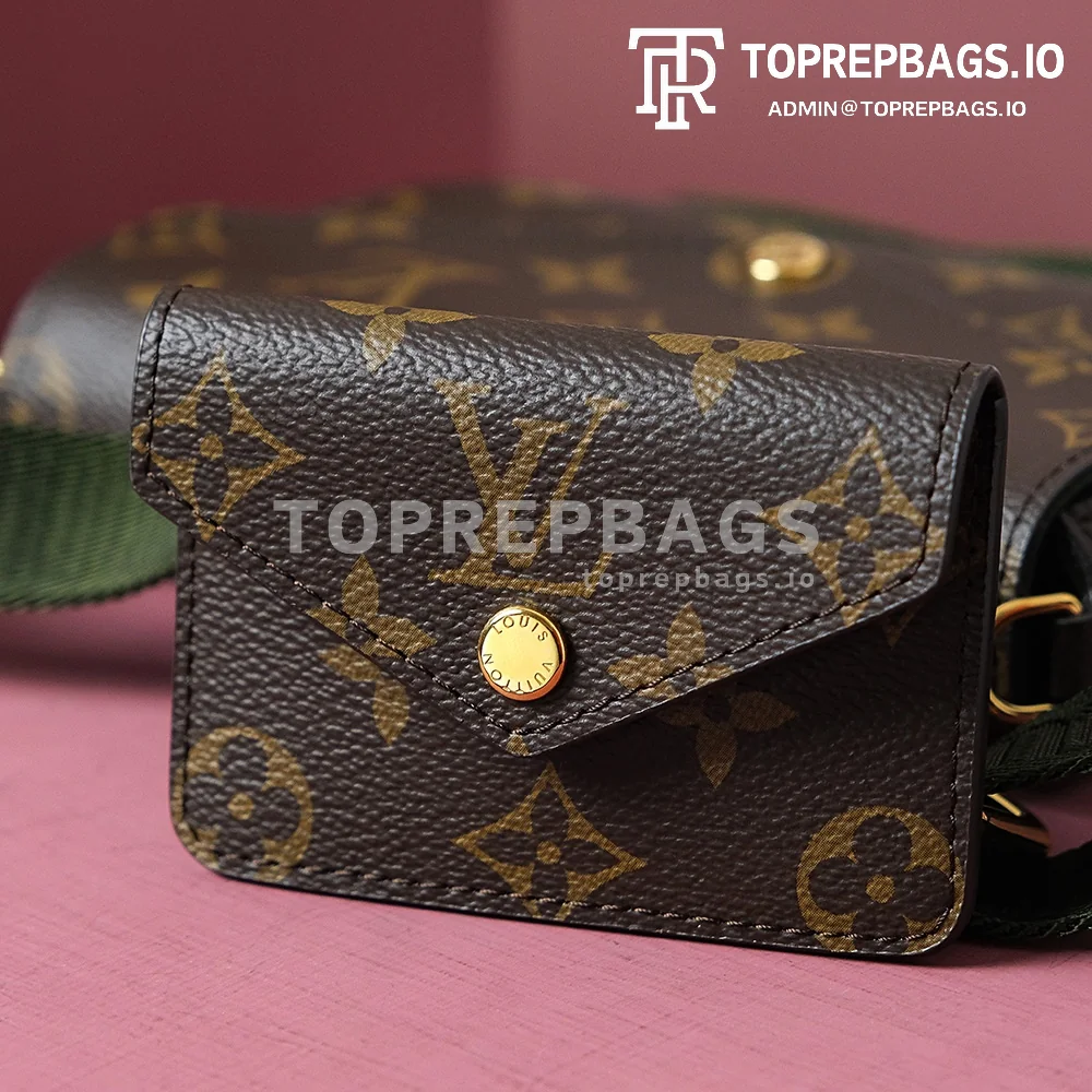 i1703577121_6005_8 Louis Vuitton Felicie Strap & Go in Brown