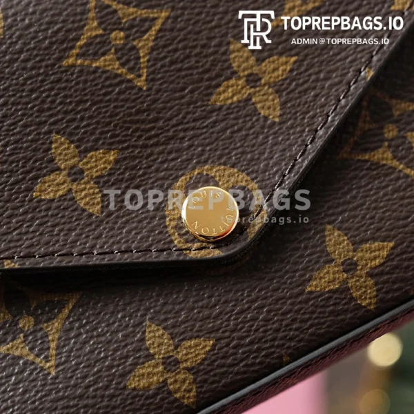 i1703577121_8709_4 Louis Vuitton Felicie Strap & Go in Brown