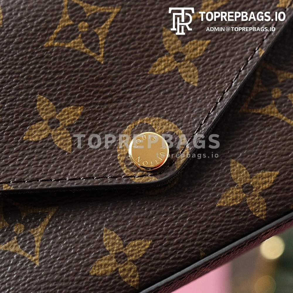 i1703577121_8709_4 Louis Vuitton Felicie Strap & Go in Brown