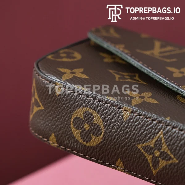 i1703577121_9752_1 Louis Vuitton Felicie Strap & Go in Brown