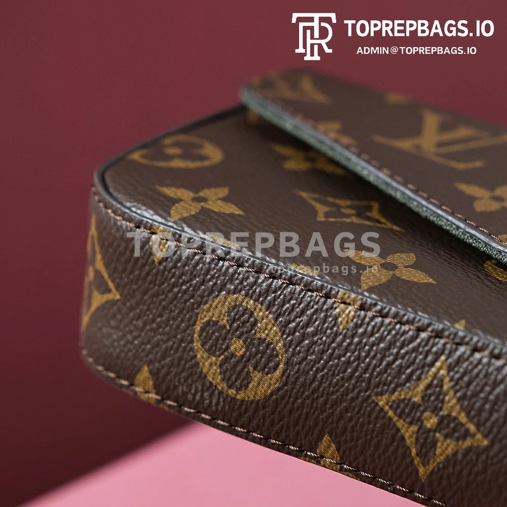 i1703577121_9752_1 Louis Vuitton Felicie Strap & Go in Brown