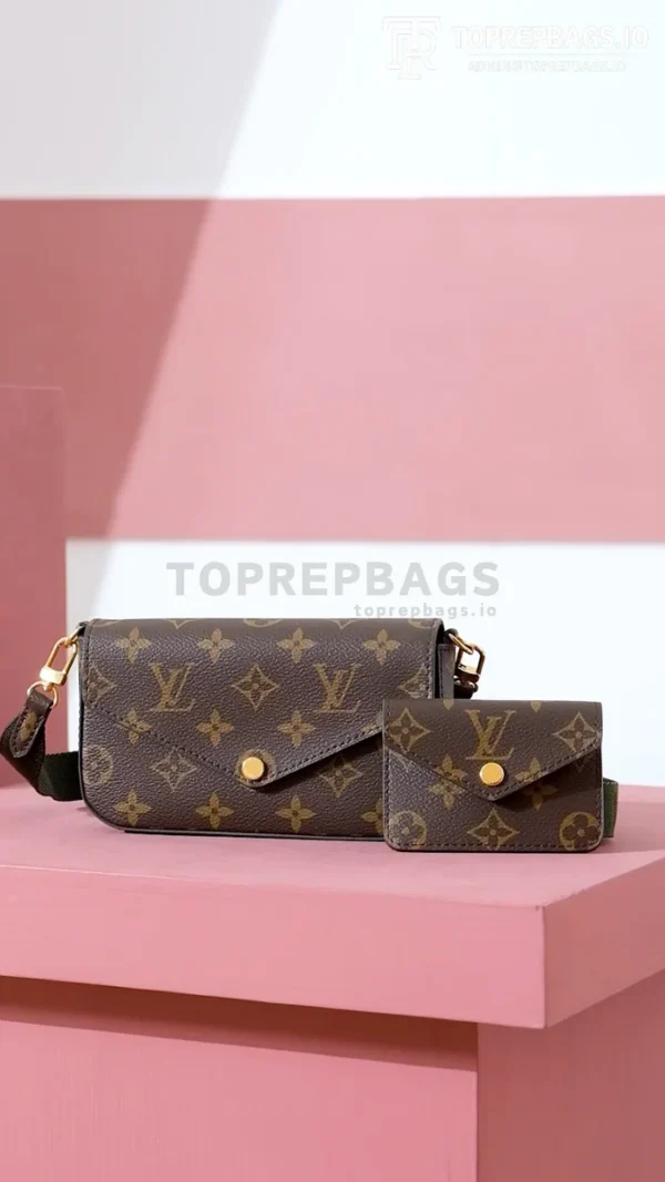 i1703577233_5724_0 Louis Vuitton Felicie Strap & Go in Brown