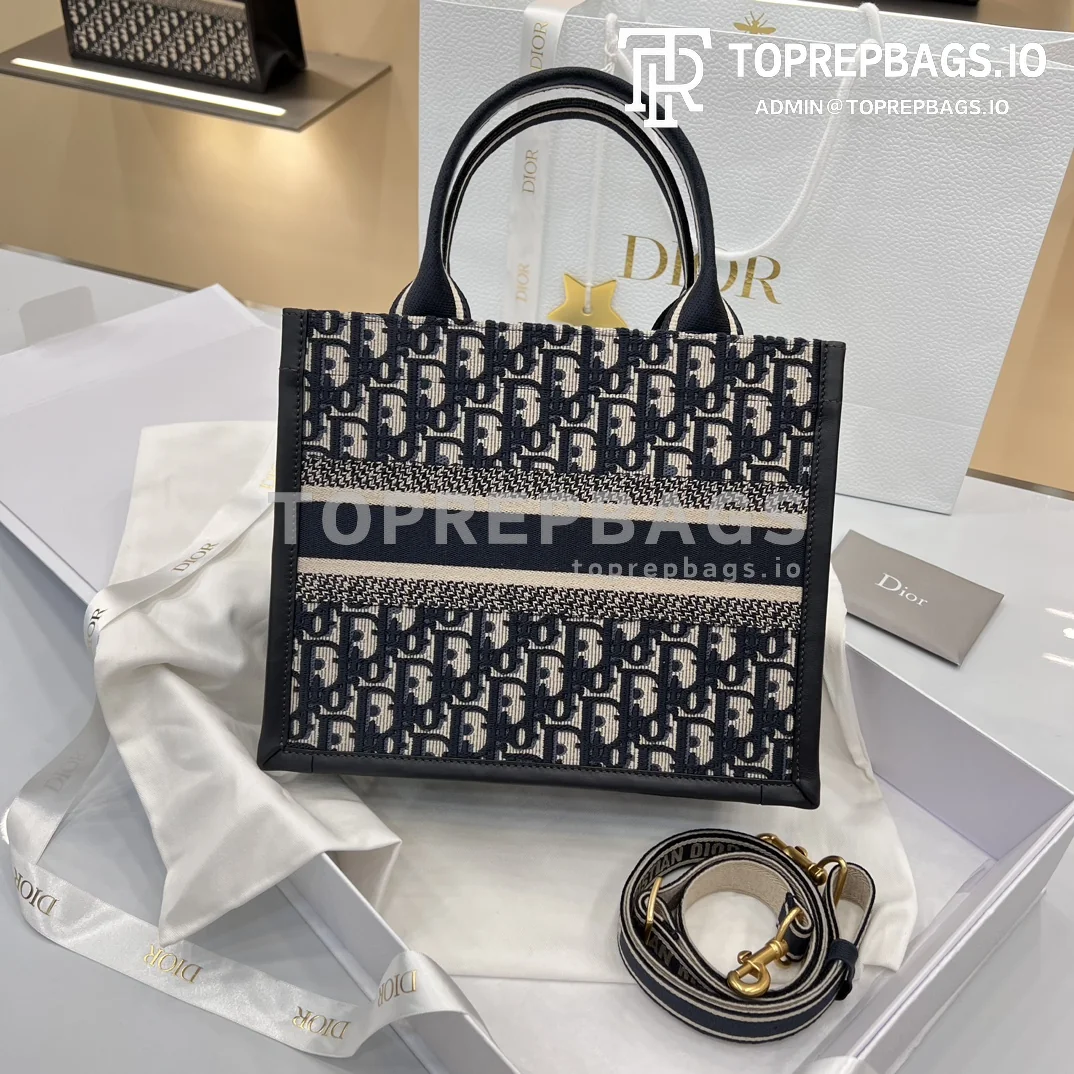 i1706280893_1258_5 Dior Book Tote in Blue