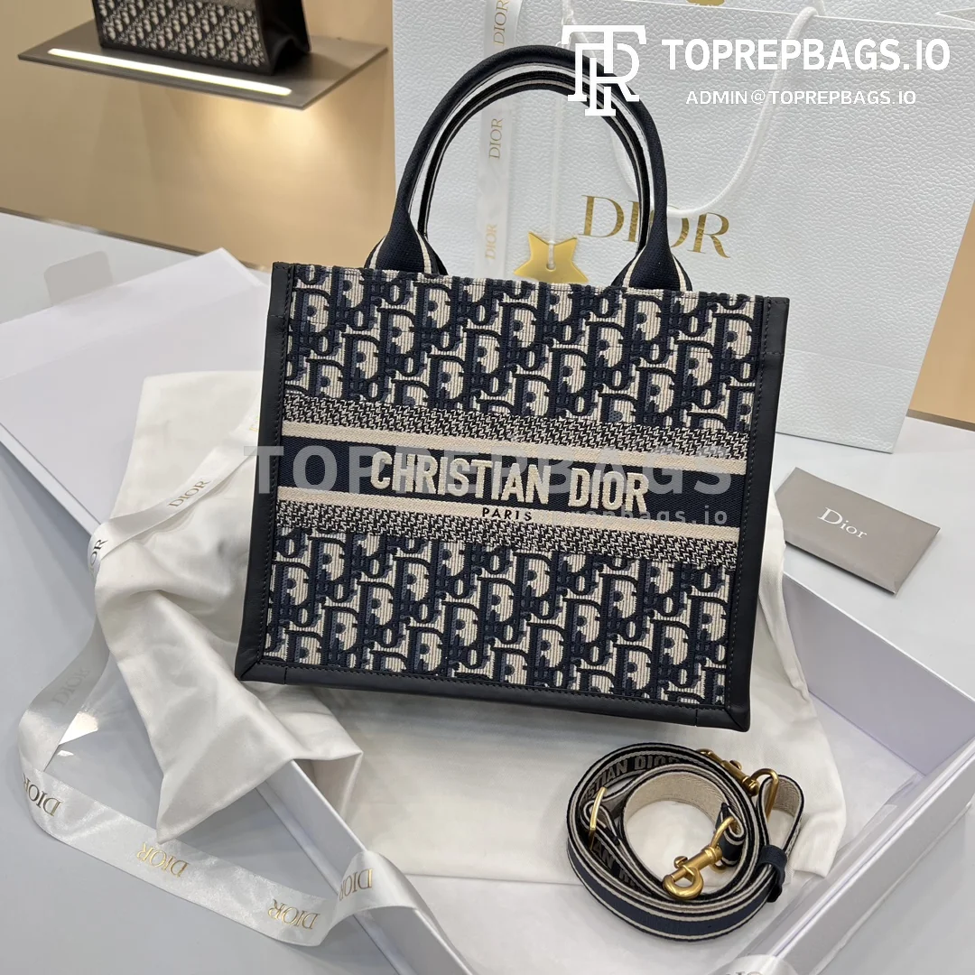 i1706280893_9470_8 Dior Book Tote in Blue