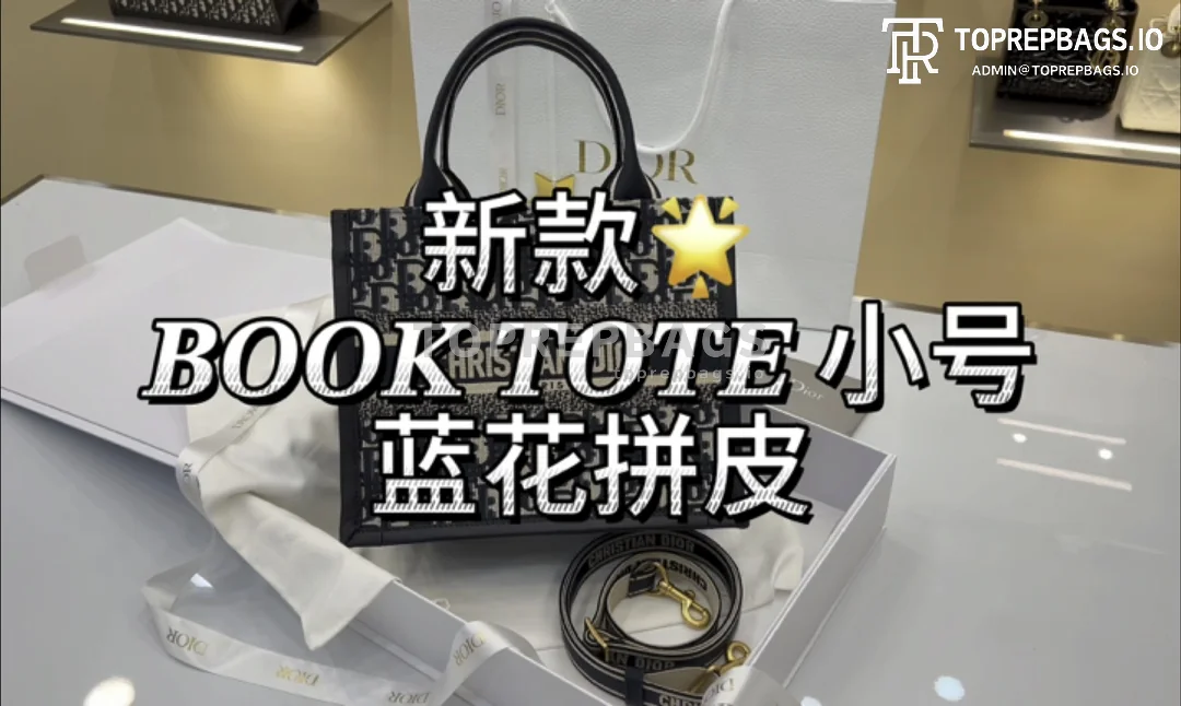 i1706281637_8007_0 Dior Book Tote in Blue