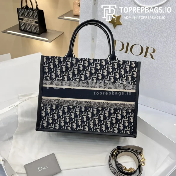 i1706282290_1415_2 Dior Book Tote in Blue