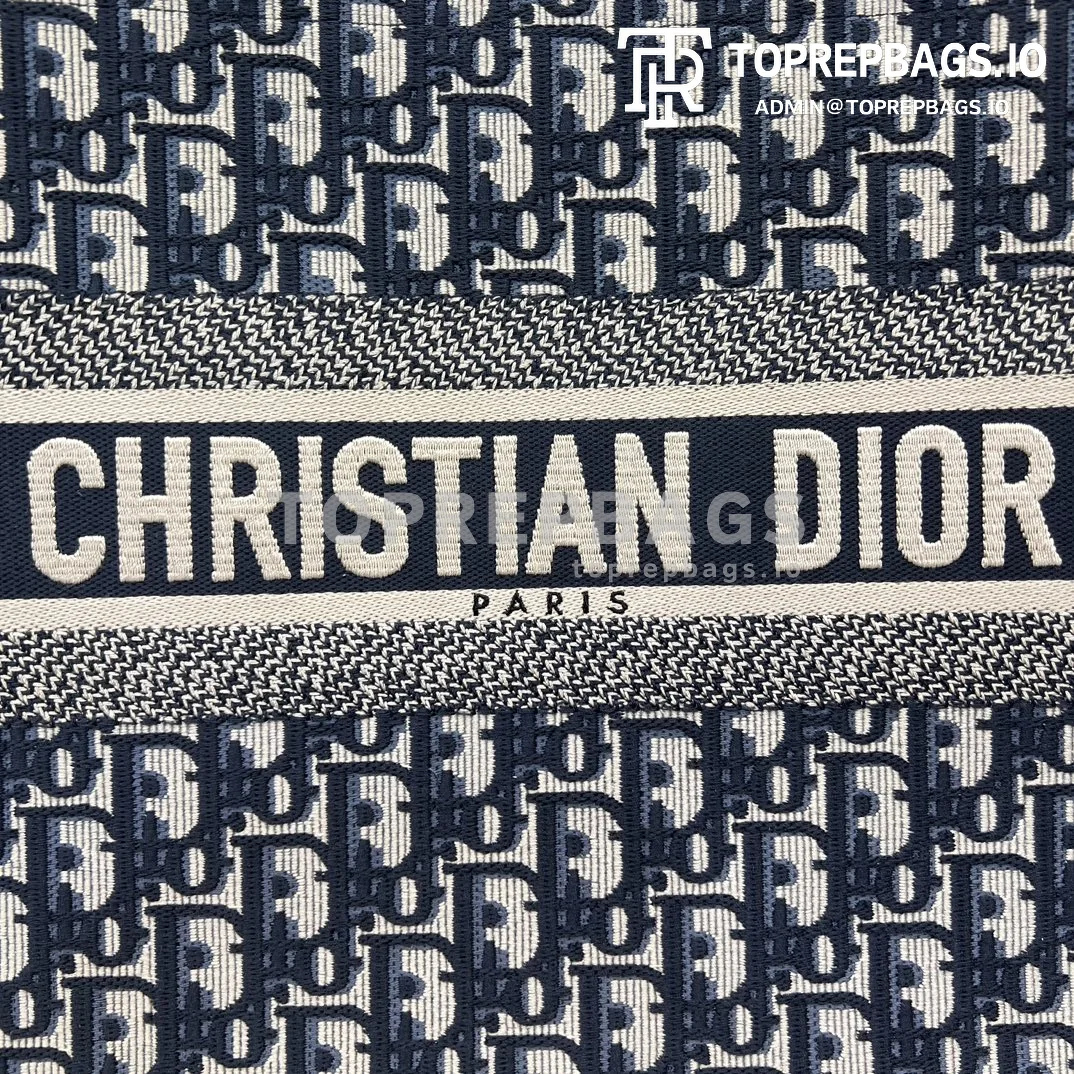 i1706282290_5006_4 Dior Book Tote in Blue
