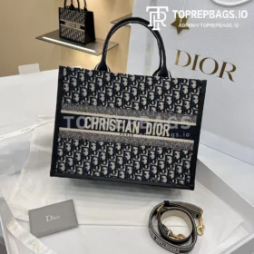 i1706282290_9122_1 Dior Book Tote in Blue