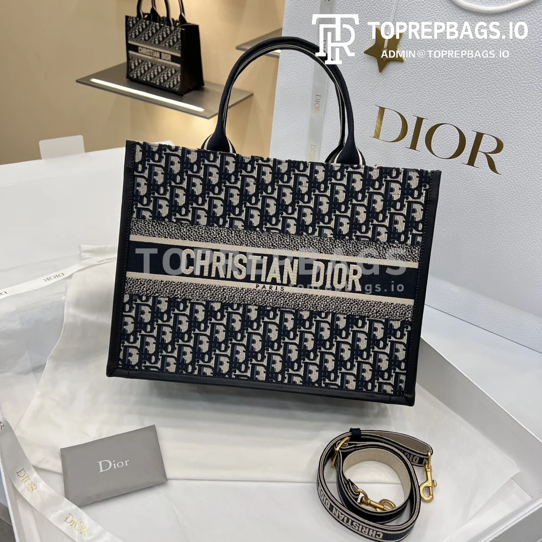i1706282290_9122_1 Dior Book Tote in Blue
